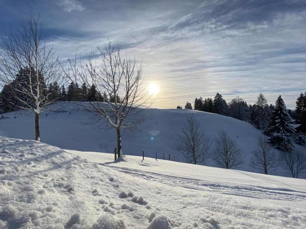 Hoamelig Lägenhet Batschuns Exteriör bild